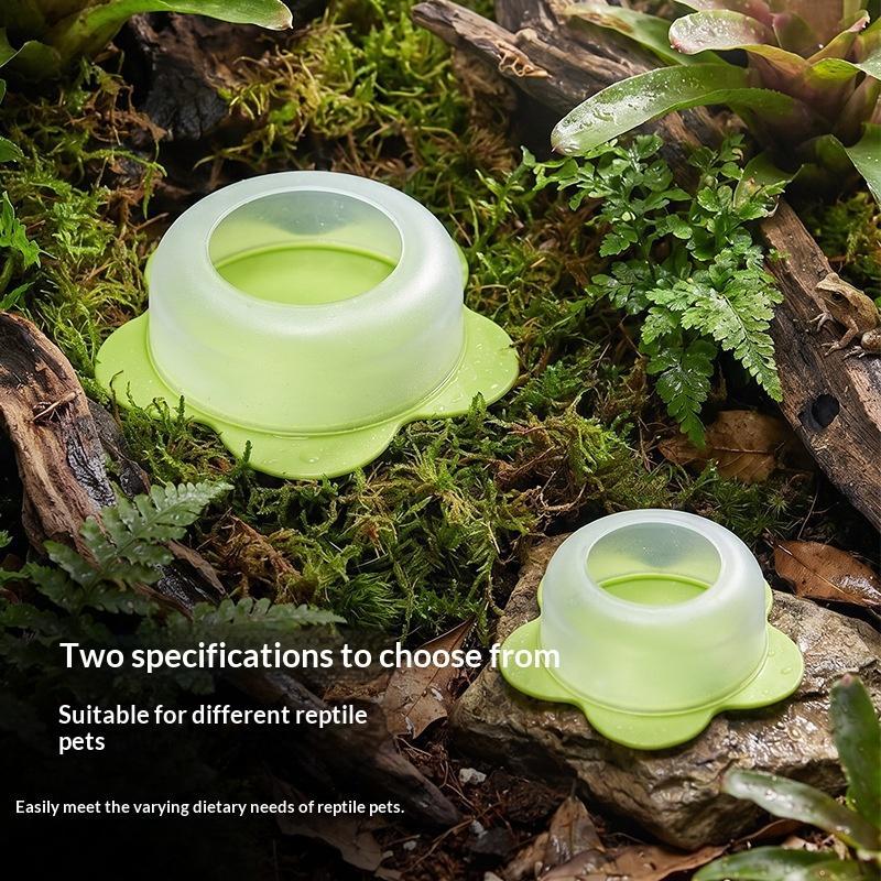 Water Dish Reptile - 1 Pezzo Ciotola per Alimentazione Rettili