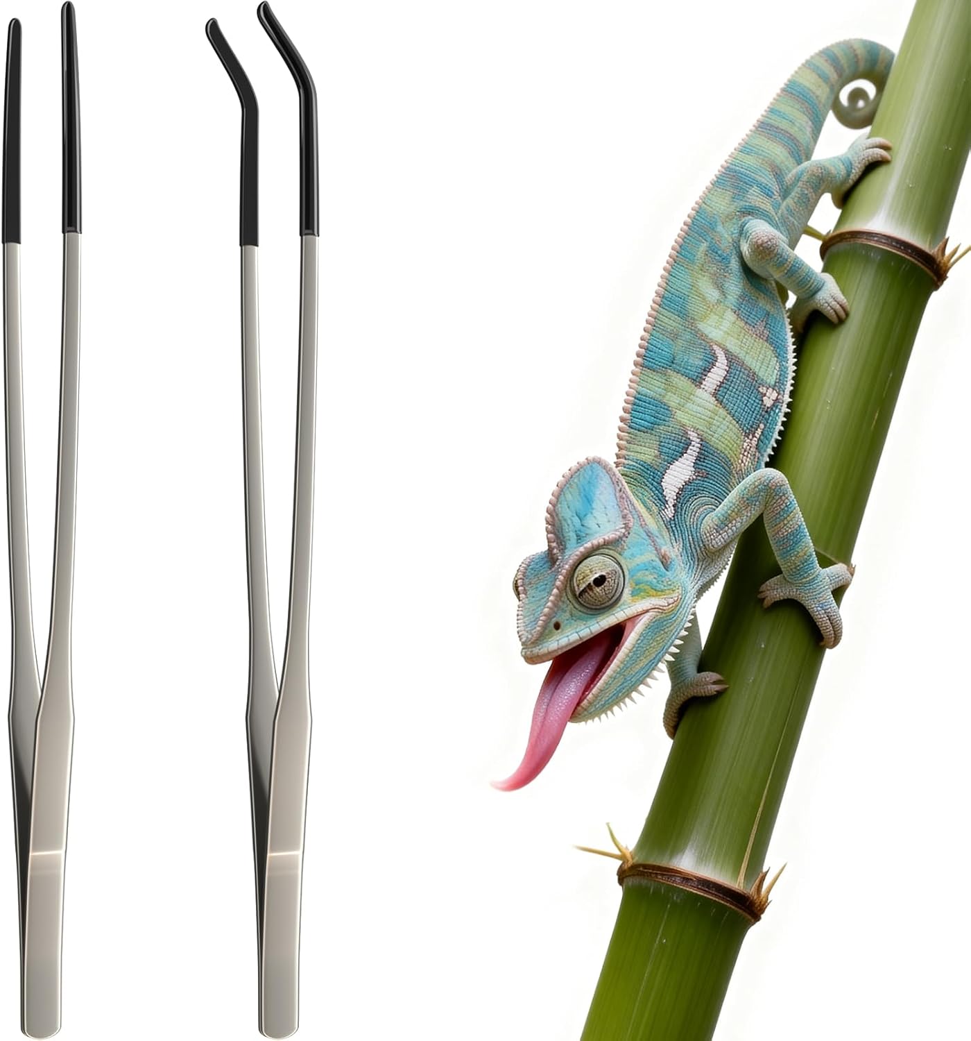 2 pinze extra lunghe in acciai - Feeding Tong Stainless recensione e prezzo