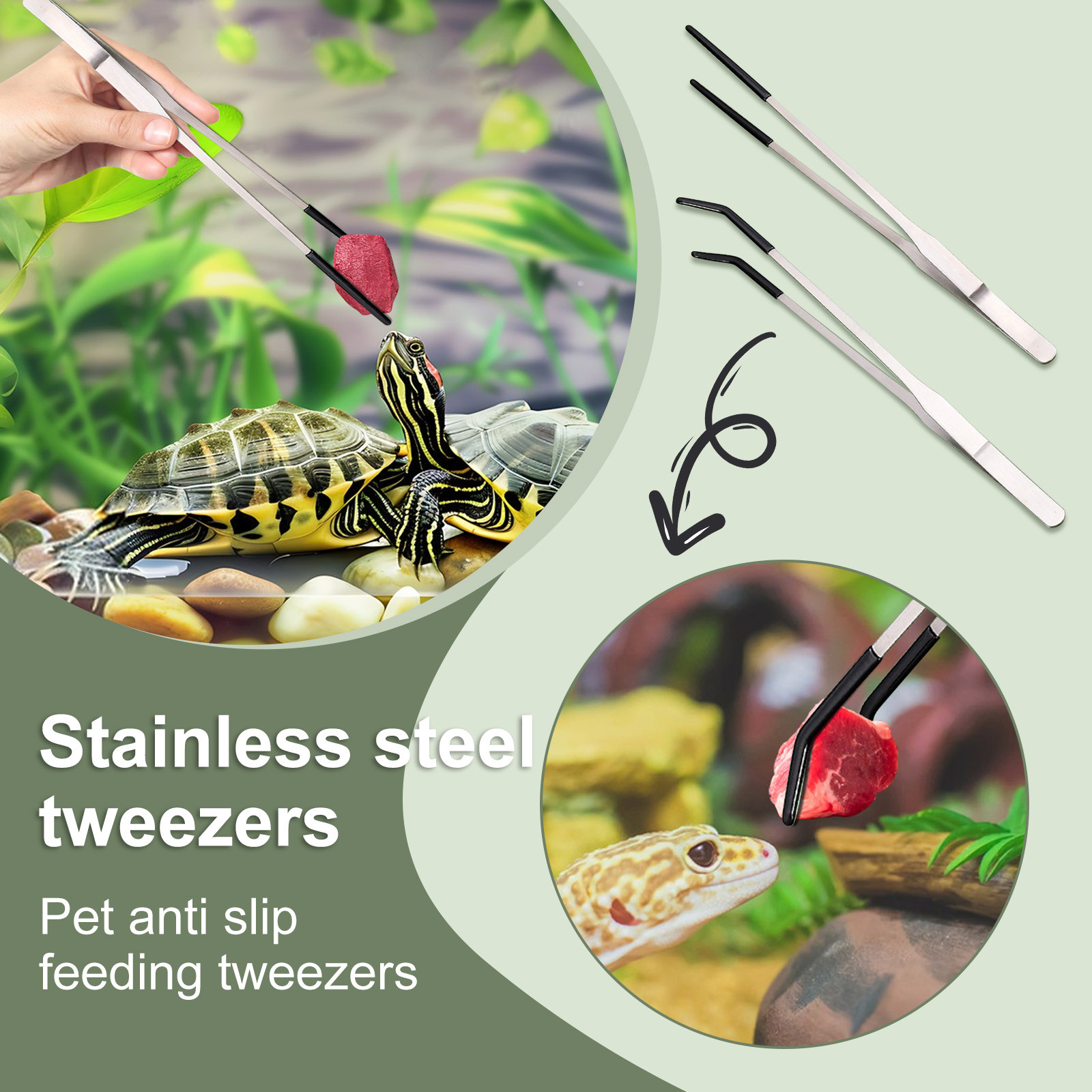 Pinzette antiscivolo in acciai - Water Dish Reptile recensione e prezzo